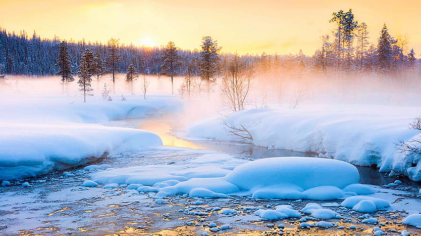 Winter Sundown In Forest And River, snow, sunset, mist, landscape, trees, sky HD wallpaper