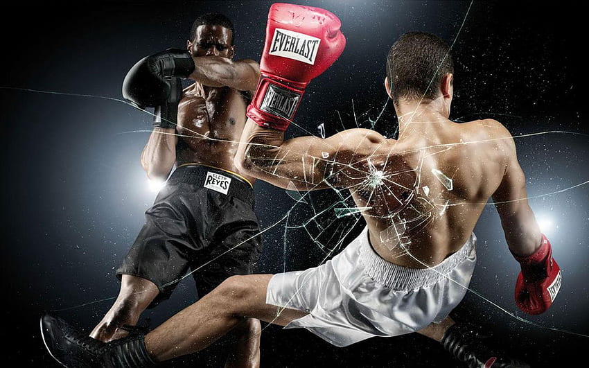 fondo de pantalla de guantes de boxeo eternos