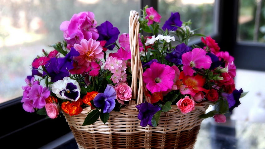 Кошница с цветя, теменужки, кошница, рози, здравец, цветя, петуния HD тапет