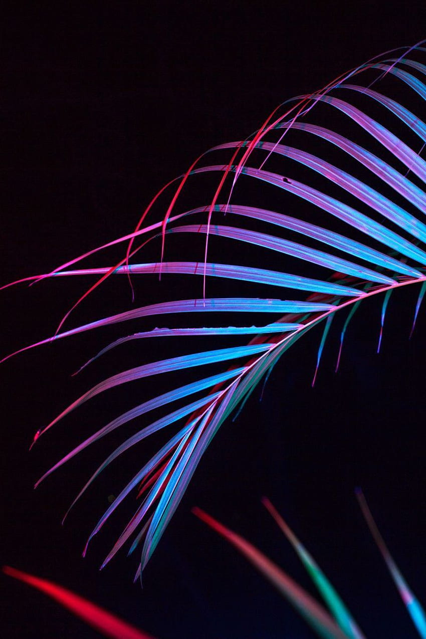 Feuilles de palmier colorées sombres pour iPhone et Android, Pink Electro Aesthetic Fond d'écran de téléphone HD