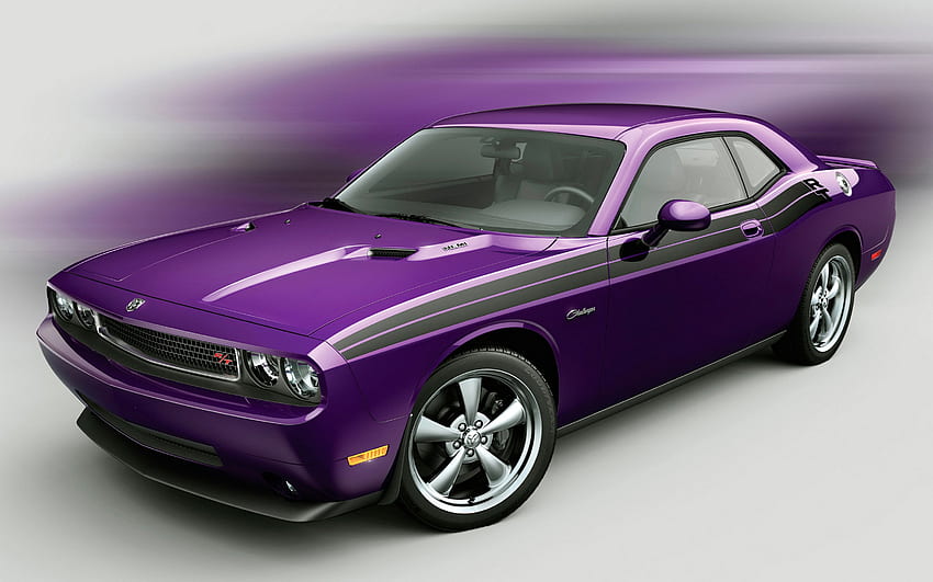muscle, purple, 6pt1, hemi, dodge, muscle car, challenger, v8 HD wallpaper