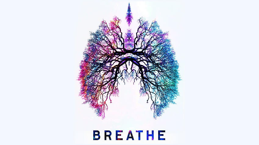 폐 . 폐, 호흡기 HD 월페이퍼