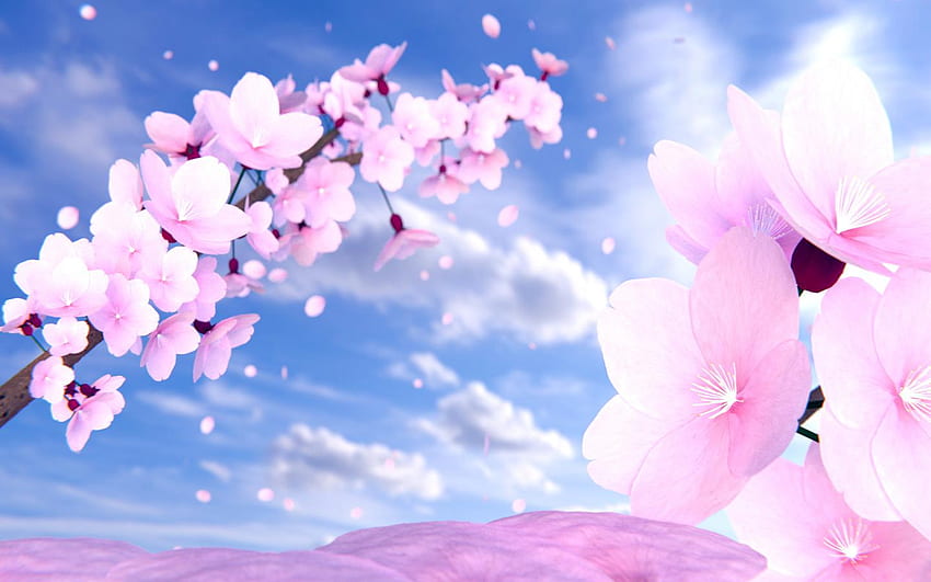 Anime Cherry Blossom Flower - Cherry Blossom Anime HD wallpaper | Pxfuel