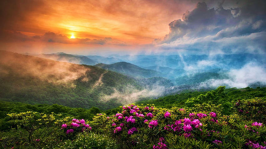 Blue Ridge Parkway wiosną, Appalachy, Karolina Północna, wzgórza, kolory, USA, chmury, niebo, kwiaty, słońce, wieczór Tapeta HD