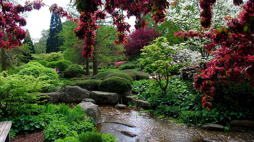 Garden With Stream Moss Stones And HD wallpaper