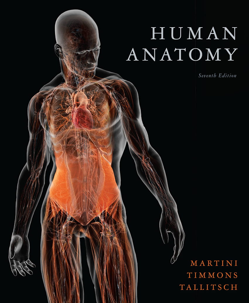 Anatomia człowieka dla . Szkielet człowieka, biomechaniczny człowiek i człowiek, fizjologia człowieka Tapeta na telefon HD