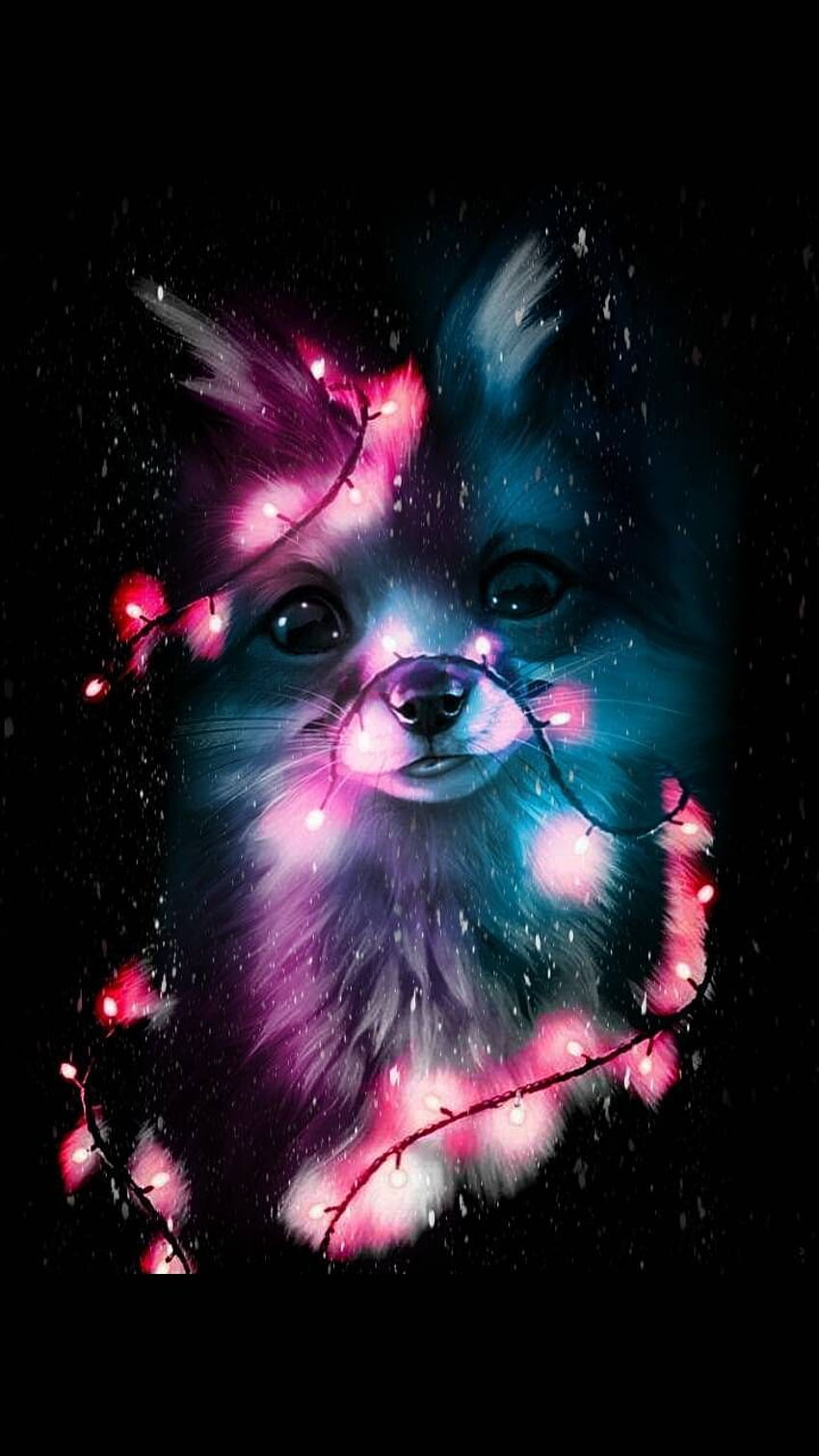 Cute Fox by BradleyJohnsonTV - d5 now. Browse millions of popular anim. Animal , Cute galaxy , Anime animals, Funny Fox HD phone wallpaper