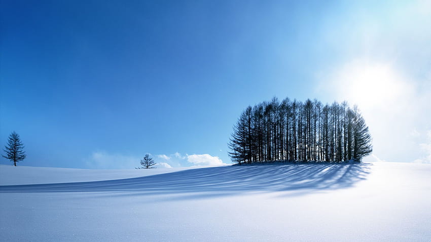 Zimowa sceneria, kraj, śnieg, niesamowita, niesamowita przyroda Zima Tapeta HD