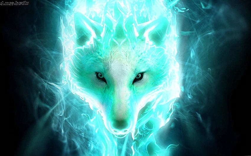 Wolf Animal , Legendary Wolf HD wallpaper