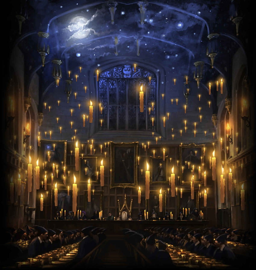 Great Hall. Harry potter wiki, Harry potter , Hogwarts great hall, Harry Potter Scene HD phone wallpaper
