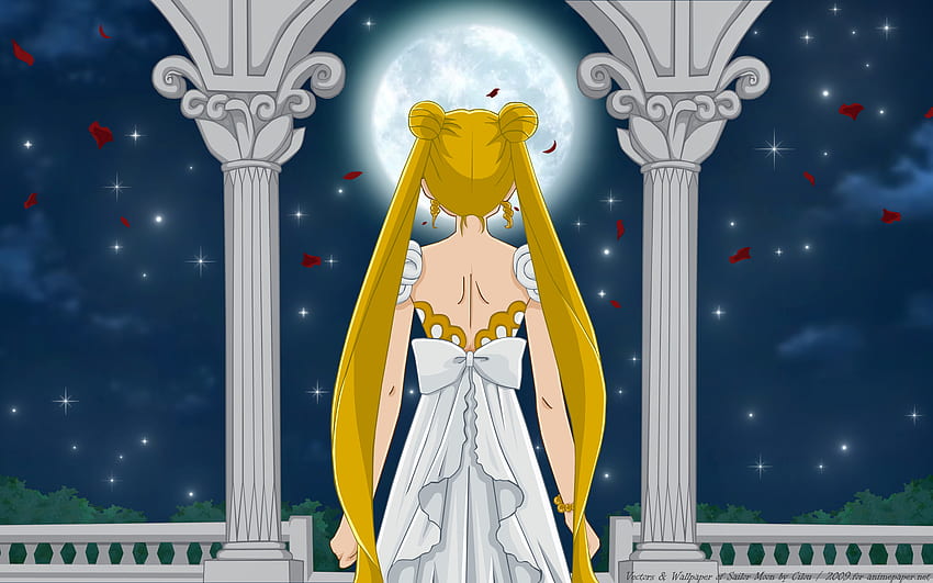 プリンセス・セレニティ、アニメ、うさぎ、月野うさぎ、マンガ、セレニティ 高画質の壁紙