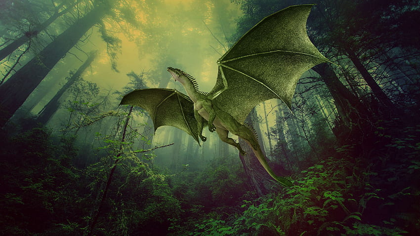 dragon, forest, fog, flight, hop 16:9 background, Friendly Dragon HD wallpaper