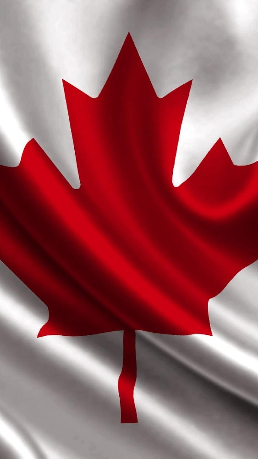 750 Canada Flag Pictures  Download Free Images on Unsplash
