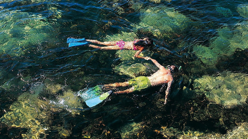 Snorkeling HD wallpaper | Pxfuel