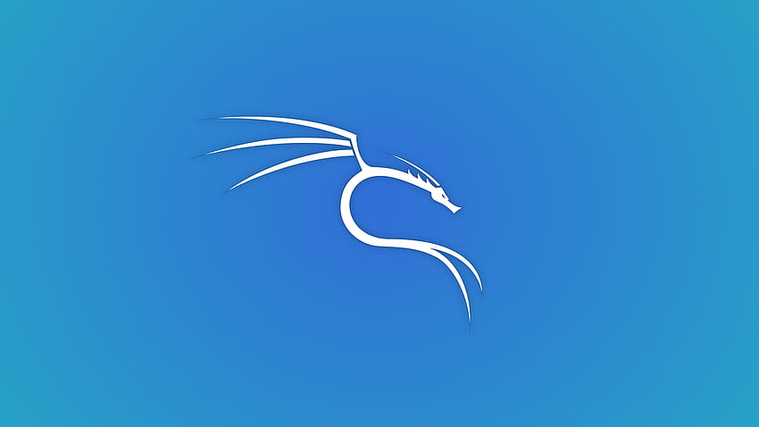 Kali Linux 2020.1 Domyślnie – system operacyjny, Parrot Linux Tapeta HD