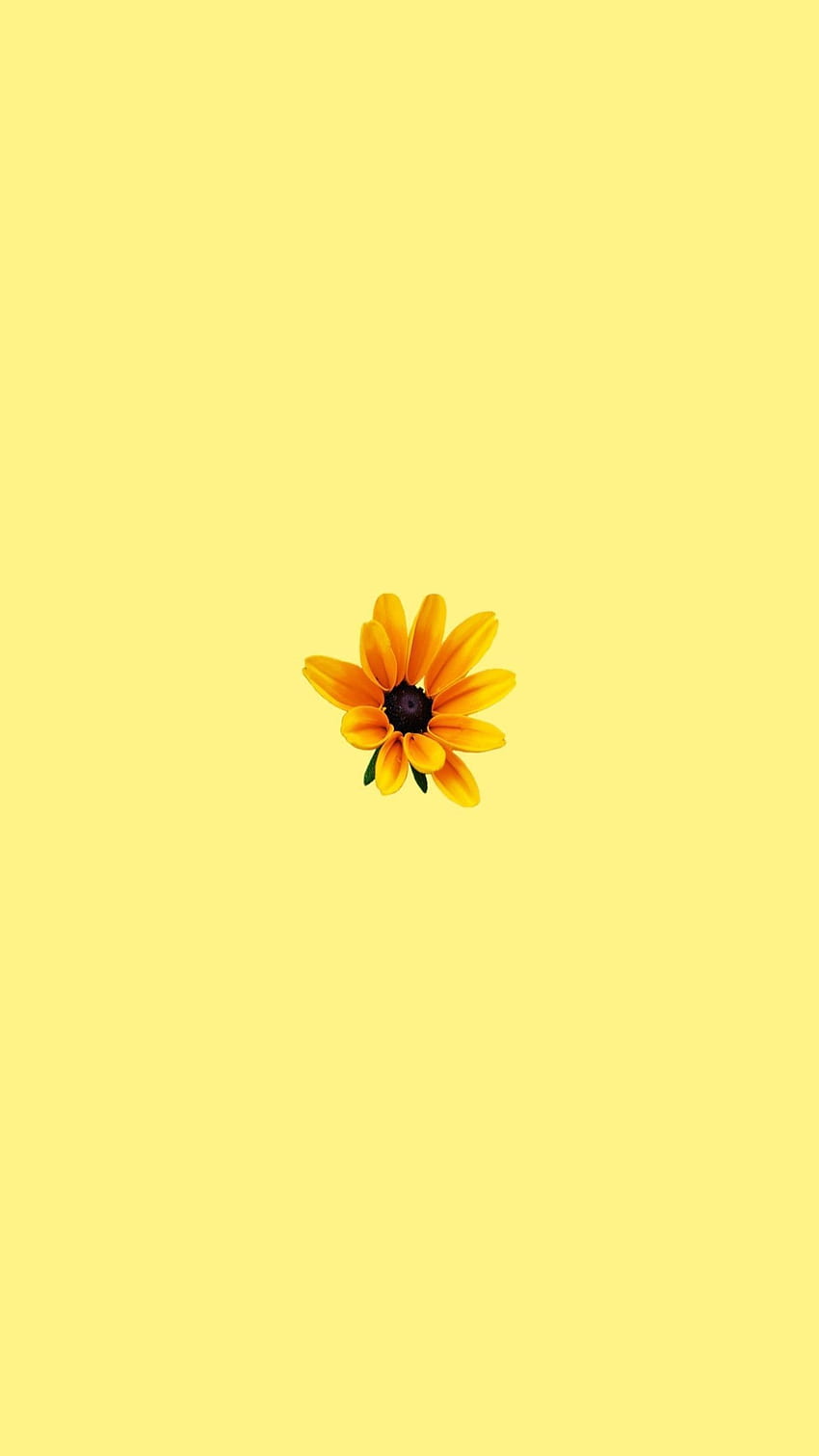Yellow aesthetic in 2019 iPhone , cute pastel HD phone wallpaper | Pxfuel