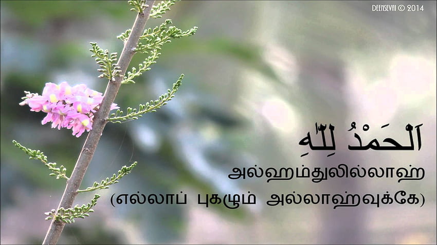 Alhamdulillah - Subhanallah Meaning In Tamil HD wallpaper