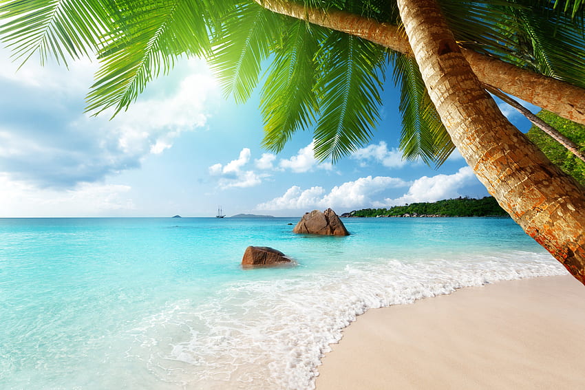 Paradise ocean tropical blue palm beach coast sea emerald ...