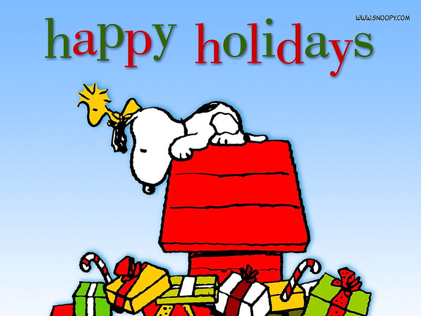 Snoopy New Years, Charlie Brown New Year HD wallpaper