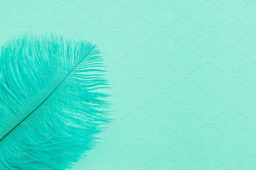 Background With Mint Green Feather. High Quality Abstract Stock Creative Market, Mint Green Abstract HD wallpaper