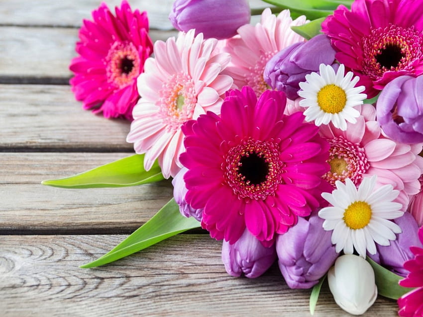 Mélange de fleurs, gerberas, tulipes, camomille, belles fleurs colorées Fond d'écran HD