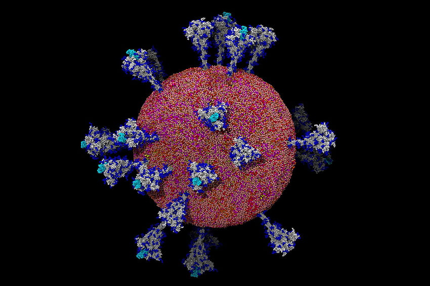 Coronavirus Diungkap: Mikroskopis Dari SARS CoV 2 The New York Times, Virus Wallpaper HD