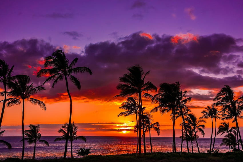 Hawaiian Sunset HD wallpaper