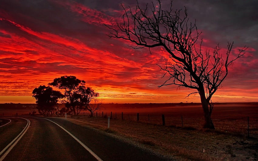 Sunset clouds landscapes Sun trees roads skies orange sky HD wallpaper