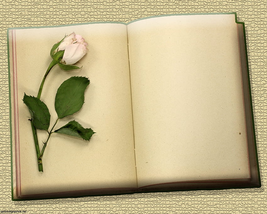 Flowers And Vintage Blank Books Background For PowerPoint - Border and Frame PPT Templates HD wallpaper