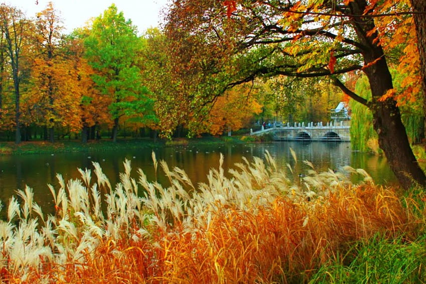Bridge over autumn river, river, fall, colors, beautiful, serenity, park, bridge, trees, autumn, nature, forest HD wallpaper