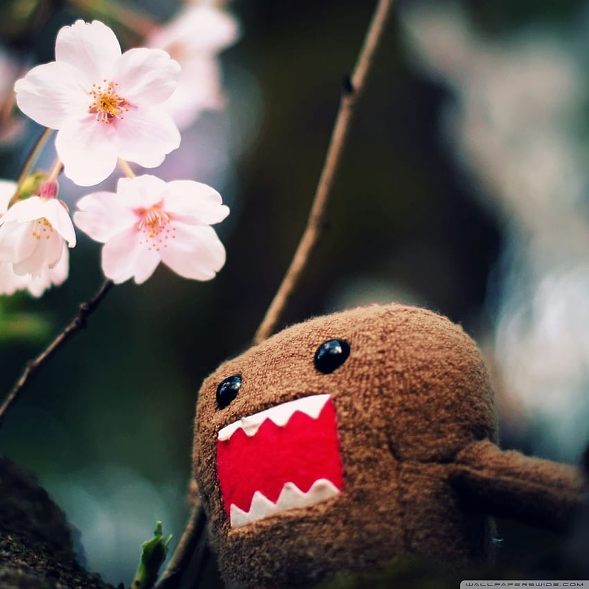 Domo Kun And Tree Blossoms ❤ for Ultra, Domo Dual Screen HD phone wallpaper