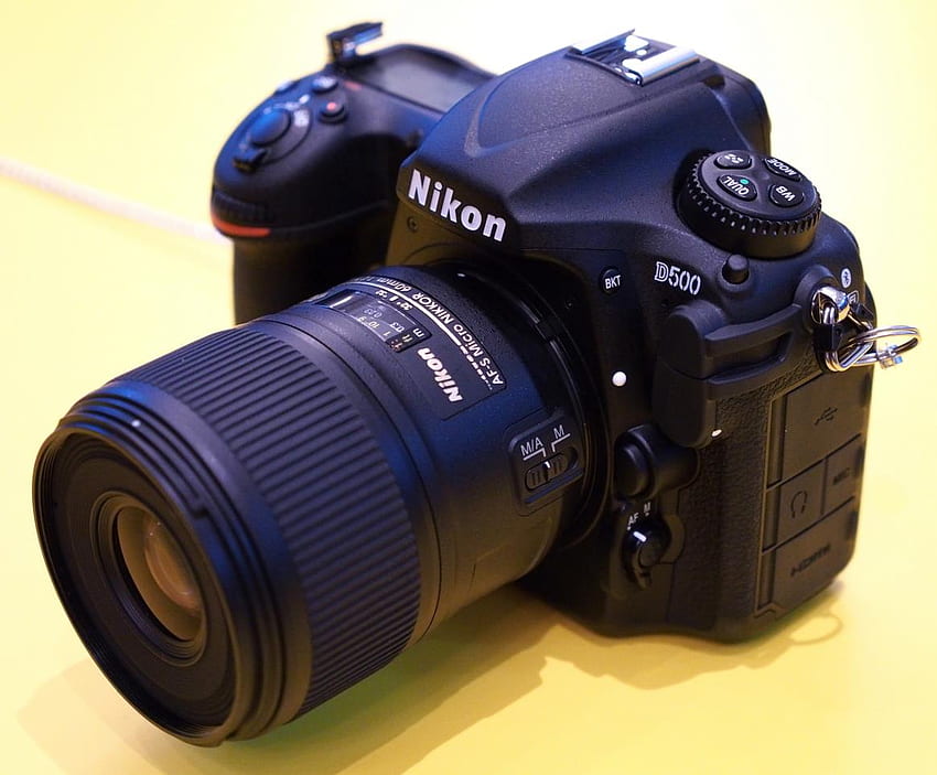 Próbka aparatu Nikon D500 z wysokim ISO (do ISO 1 640 000, tylko ekran LCD) — Wiadomości o aparatach na Cameraegg Tapeta HD