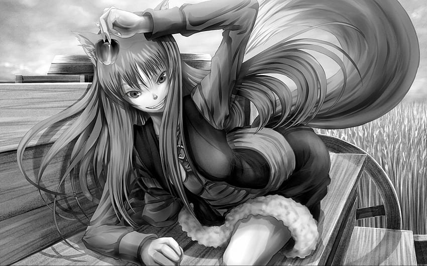 Czarno-białe anime, anime, uszy zwierząt, ludzki lis, anime długie włosy, anime fantasy Tapeta HD