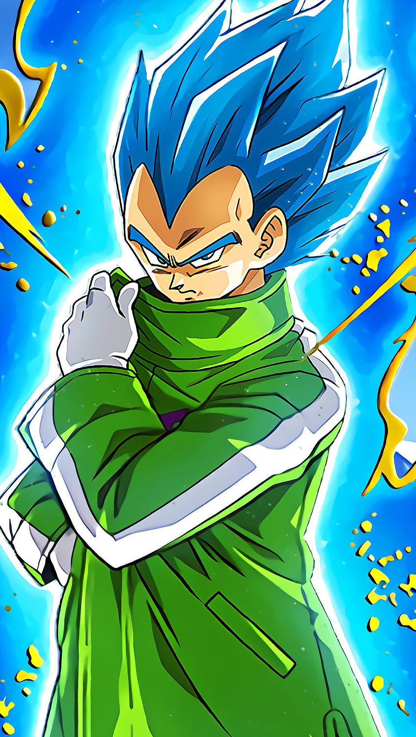 Super Saiyan Blue Vegeta Dragon Ball Super Anime Ultra, SSJ Vegeta HD phone  wallpaper