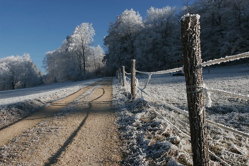 Winter, Natur, Straße, Zaun, Raureif, Frost, graues Haar, Kälte, Land, Hecke, Pfähle, Pfähle, Landschaft HD-Hintergrundbild