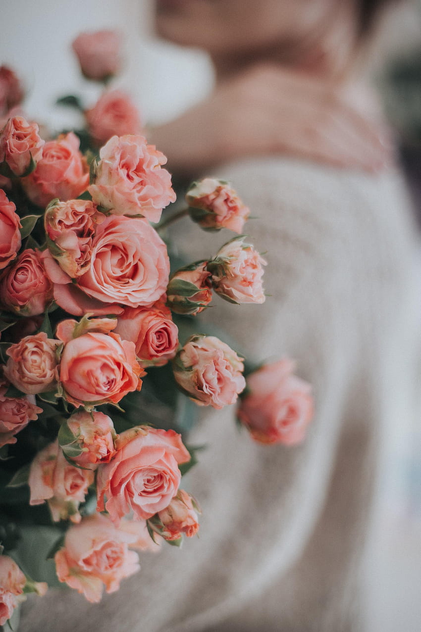 Flowers, Roses, Pink, Bouquet, Tender HD phone wallpaper