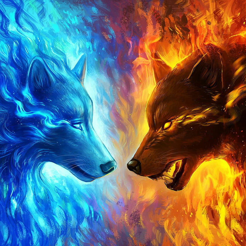 Hot Vs Cold , Hot and Cold HD phone wallpaper