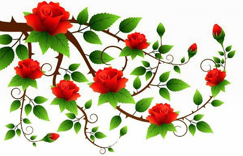 ..Red Roses Ivy.., beloved valentines, plants, plants red, digital art, spring, vector arts, isolated, roses, attractions in dreams, lovely still life, florals, creative pre-made, love four seasons, ivy, love, green, red, red roses, flowers, thorns, illustrations HD wallpaper