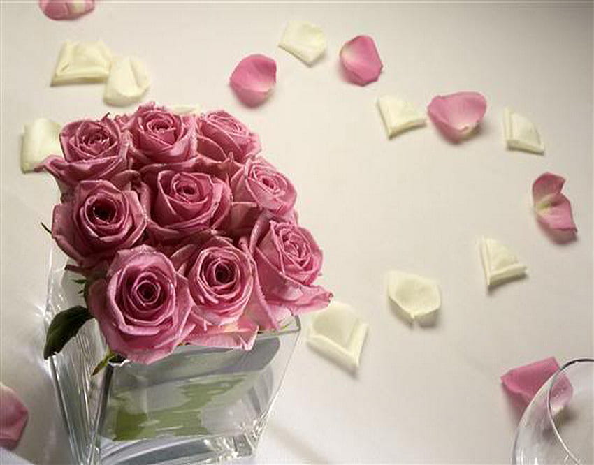 petals heart, rose, pink, white, petals, glass, heart HD wallpaper