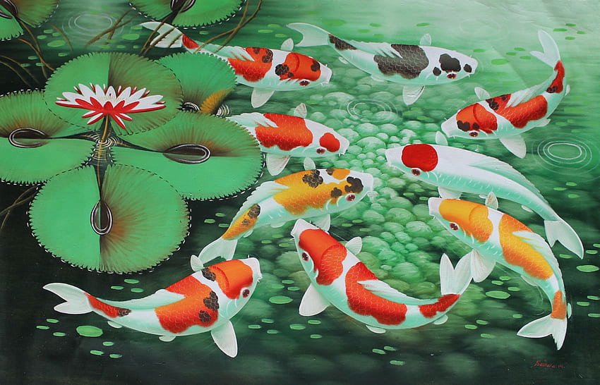 Pez koi, arte japonés de peces koi fondo de pantalla