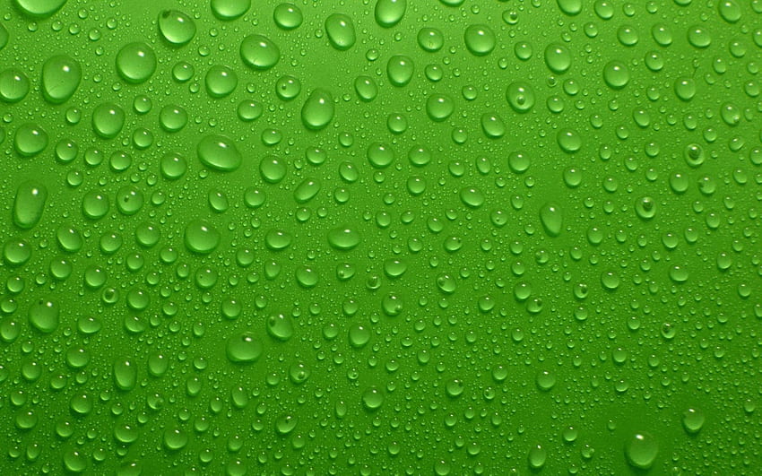 Green - 2.5 HD wallpaper | Pxfuel