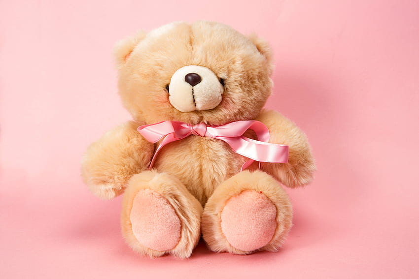 teddy, Bear, Pink, Cute, Toy / and Mobile Background, Cute Plushie HD wallpaper