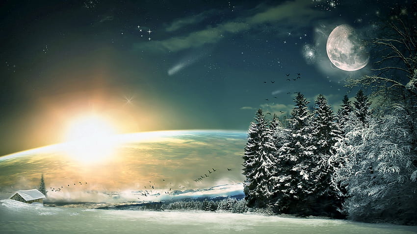 Winter, Nature, Birds, Sun, Stars, Moon, Snow, Shine, Light, Forest, Descent, Fiction, That's Incredible, Ate HD wallpaper