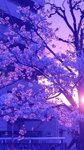 Violet Japanese garden - Desktop Nexus Wallpapers | Purple garden,  Beautiful photography nature, Japanese garden