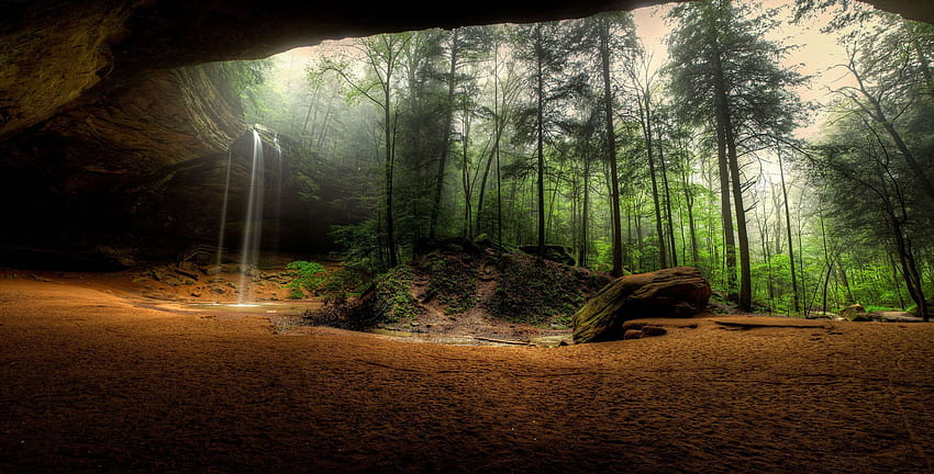 Resolusi tinggi - sifat stok terbaik . Alam terbaik, Pemandangan, alam, Hutan Wallpaper HD
