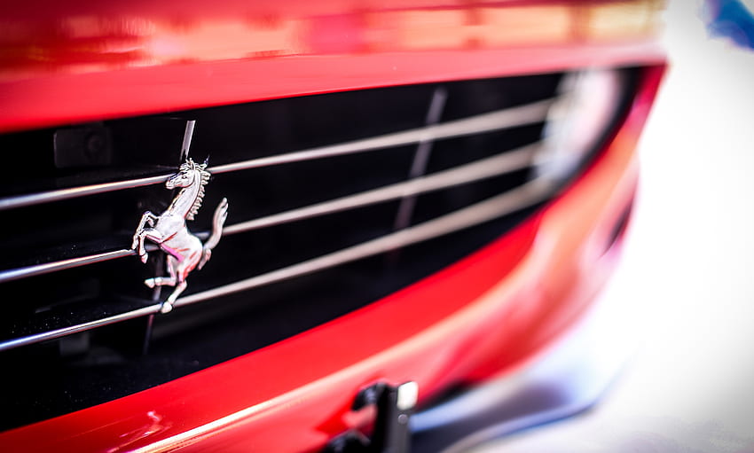 Ferrari, Cars, Logo, Logotype, Bumper HD wallpaper