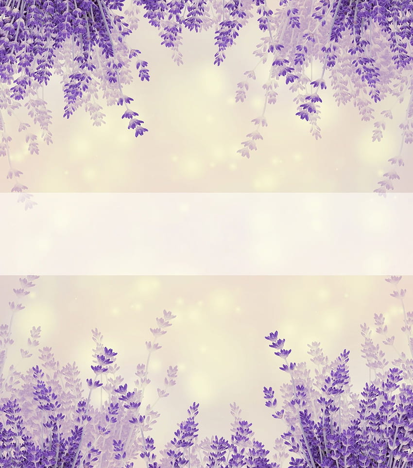 Lavender Flowers Background. Flower background, Beautiful background, Background flower, Lavender Floral HD phone wallpaper