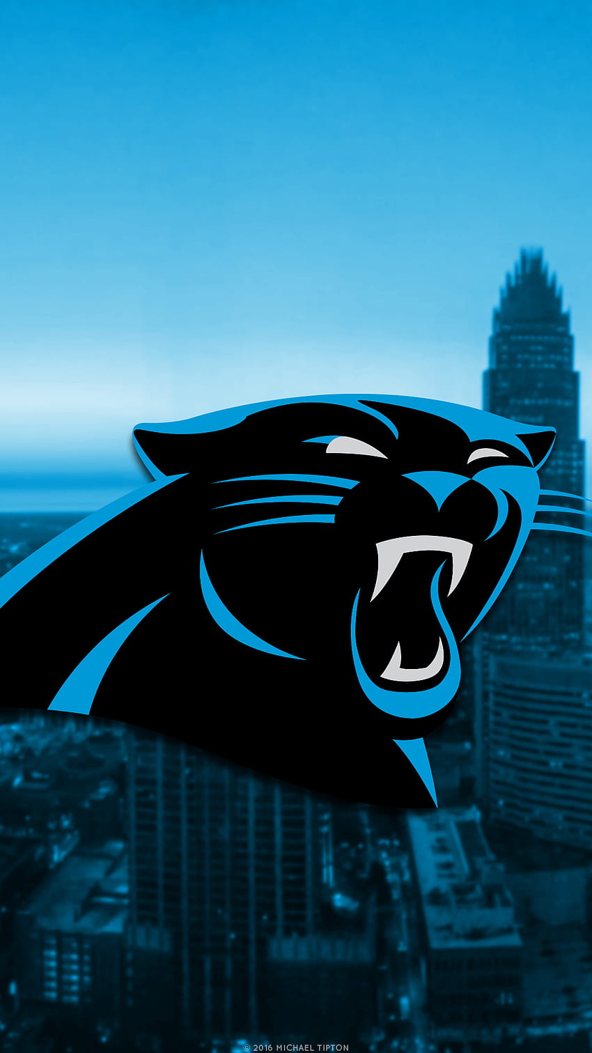Gilbert R Johnson on Twitter  Carolina panthers Panthers Carolina  panthers football