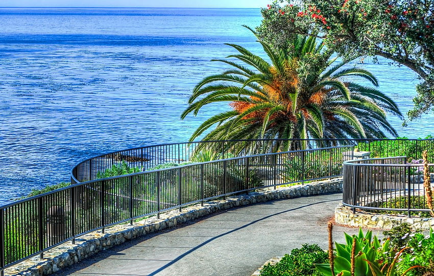 sea, palm trees, the descent, horizon, track, railings, Laguna Beach HD wallpaper