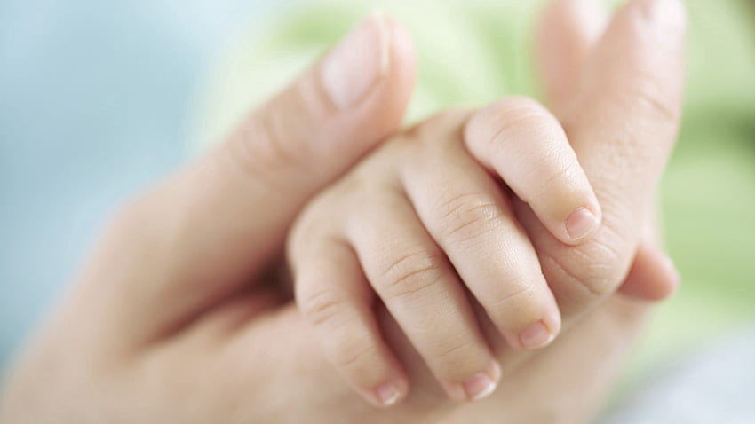 Hands, Care, Tenderness, Child, Adult HD wallpaper